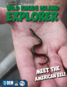 Cover of Wild Rhode Island Explorer, Spring 2023